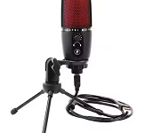 Microphone